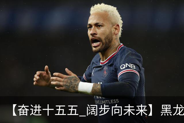 【奋进十五五 阔步向未来】黑龙江农机产业正加速迈向高端化智能化绿色化